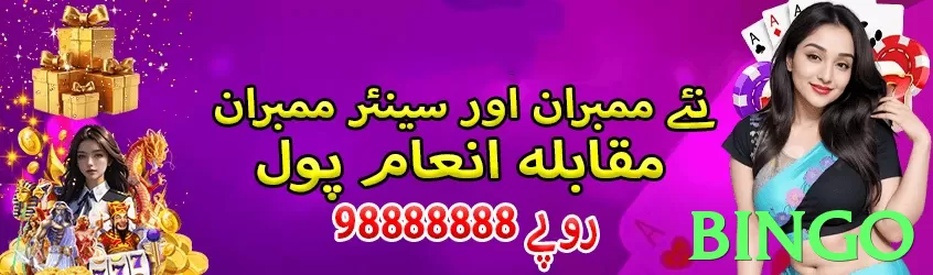 bingo game app for Pakistan players - 3